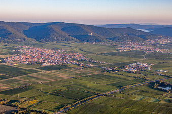 Vue aérienne de Vignobles à Maikammer dans le département Rhénanie-Palatinat, Allemagne
