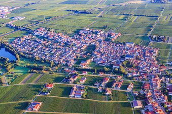Vue aérienne de Vue du village de Kropsbach depuis le sud à Kirrweiler dans le département Rhénanie-Palatinat, Allemagne
