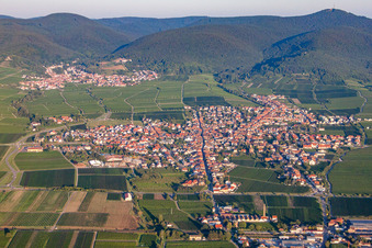 Vue aérienne de Vignobles à Maikammer dans le département Rhénanie-Palatinat, Allemagne
