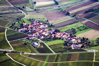 Vue aérienne de Du nord-ouest à le quartier Oberhofen in Pleisweiler-Oberhofen dans le département Rhénanie-Palatinat, Allemagne