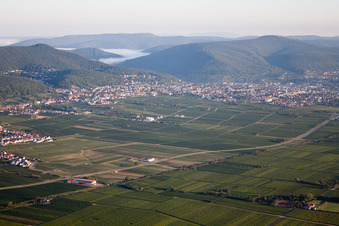 Neustadt an der Weinstraße dans le département Rhénanie-Palatinat, Allemagne vue d'en haut