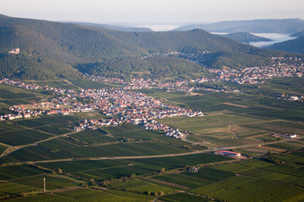 Quartier Diedesfeld in Neustadt an der Weinstraße dans le département Rhénanie-Palatinat, Allemagne d'en haut