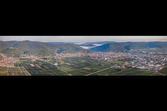 Vue aérienne de Panorama avec brume matinale de la ville et des environs à Neustadt an der Weinstraße dans le département Rhénanie-Palatinat, Allemagne