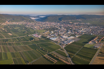 Vue aérienne de Panorama à Neustadt an der Weinstraße dans le département Rhénanie-Palatinat, Allemagne