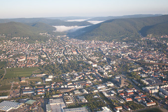 Neustadt an der Weinstraße dans le département Rhénanie-Palatinat, Allemagne depuis l'avion