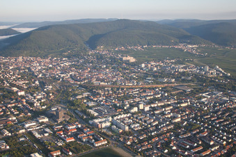 Vue aérienne de Branchweiler à Neustadt an der Weinstraße dans le département Rhénanie-Palatinat, Allemagne