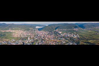 Vue aérienne de Panorama à Neustadt an der Weinstraße dans le département Rhénanie-Palatinat, Allemagne