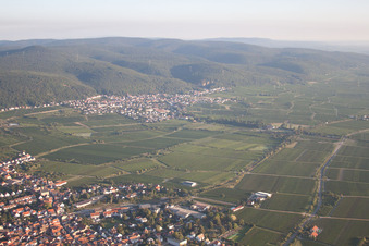 Vue aérienne de Quartier Königsbach in Neustadt an der Weinstraße dans le département Rhénanie-Palatinat, Allemagne