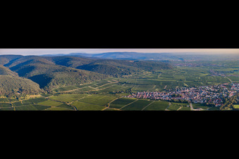 Vue aérienne de Panorama de la ville et des environs à Deidesheim dans le département Rhénanie-Palatinat, Allemagne