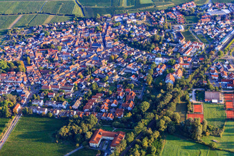 Vue aérienne de Vue de la ville depuis le sud-est. Au premier plan, l'hôtel Deidesheim dans la lumière du matin. à Deidesheim dans le département Rhénanie-Palatinat, Allemagne