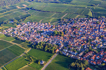 Vue aérienne de Habergartenstr à Deidesheim dans le département Rhénanie-Palatinat, Allemagne