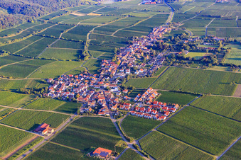 Vue aérienne de Village viticole du sud au bord du Haardt dans la forêt du Palatinat à la lumière du matin à Forst an der Weinstraße dans le département Rhénanie-Palatinat, Allemagne