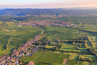 Vue aérienne de Village viticole du sud En arrière-plan Wachenheim au bord du Haardt dans la forêt du Palatinat dans la lumière du matin à Forst an der Weinstraße dans le département Rhénanie-Palatinat, Allemagne