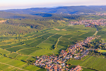 Vue aérienne de Vignobles Jesuitenmantel et Forster Pechstein au bord du Haardt dans la forêt du Palatinat à la lumière du matin à Forst an der Weinstraße dans le département Rhénanie-Palatinat, Allemagne