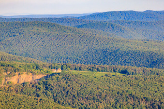 Vue aérienne de Carrières de basalte près de Wachenheim et du domaine viticole d'Odinstal à Wachenheim an der Weinstraße dans le département Rhénanie-Palatinat, Allemagne