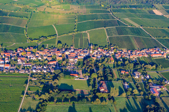 Vue aérienne de Village viticole en face des vignobles Jesuitenmantel et Forster Pechstein en bordure du Haardt dans la forêt du Palatinat à la lumière du matin à Forst an der Weinstraße dans le département Rhénanie-Palatinat, Allemagne