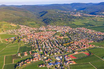 Vue aérienne de Vue de la ville depuis l'est à la lumière du matin à Wachenheim an der Weinstraße dans le département Rhénanie-Palatinat, Allemagne