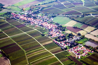 Vue aérienne de Du nord-ouest à Niederhorbach dans le département Rhénanie-Palatinat, Allemagne