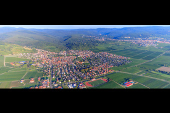 Vue aérienne de Vue de la ville depuis l'est à la lumière du matin à Wachenheim an der Weinstraße dans le département Rhénanie-Palatinat, Allemagne