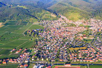 Vue aérienne de Vue de la ville depuis l'est à la lumière du matin à Wachenheim an der Weinstraße dans le département Rhénanie-Palatinat, Allemagne