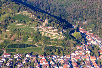 Vue aérienne de Ruines et vestiges des murs de l'ancien complexe du château de Wachtenburg (ruines du « château de Wachenheim ») à Wachenheim an der Weinstraße dans le département Rhénanie-Palatinat, Allemagne