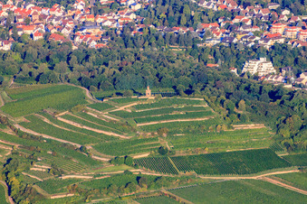 Vue aérienne de Tour du drapeau Bad Dürkheim au-dessus des vignobles en terrasses à le quartier Seebach in Bad Dürkheim dans le département Rhénanie-Palatinat, Allemagne