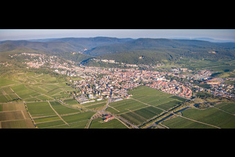 Vue aérienne de De l'ouest à Bad Dürkheim dans le département Rhénanie-Palatinat, Allemagne