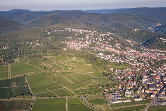 Vue aérienne de Tour du drapeau à le quartier Seebach in Bad Dürkheim dans le département Rhénanie-Palatinat, Allemagne