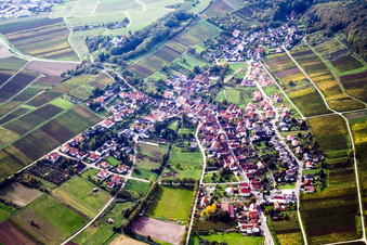 Vue aérienne de Village viticole à la lisière de la forêt du Palatinat au nord-est à le quartier Pleisweiler in Pleisweiler-Oberhofen dans le département Rhénanie-Palatinat, Allemagne