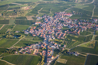 Vue aérienne de Champs agricoles et terres agricoles à Kallstadt dans le département Rhénanie-Palatinat, Allemagne