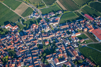 Vue aérienne de Champs agricoles et terres agricoles à Kallstadt dans le département Rhénanie-Palatinat, Allemagne