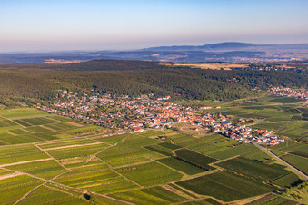 Vue aérienne de Vignes au bord du Haardt à Weisenheim am Berg dans le département Rhénanie-Palatinat, Allemagne