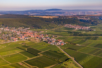 Photographie aérienne de Vignes au bord du Haardt à Weisenheim am Berg dans le département Rhénanie-Palatinat, Allemagne