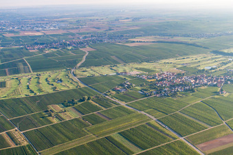 Vue aérienne de Club de golf de la route des vins allemands à Dackenheim dans le département Rhénanie-Palatinat, Allemagne