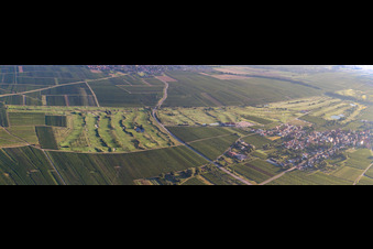 Vue aérienne de Panorama du parcours de golf Golfgarten de la Route des vins allemande à Dackenheim dans le département Rhénanie-Palatinat, Allemagne
