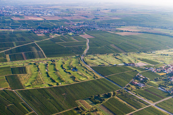 Photographie aérienne de Club de golf de la route des vins allemands à Dackenheim dans le département Rhénanie-Palatinat, Allemagne