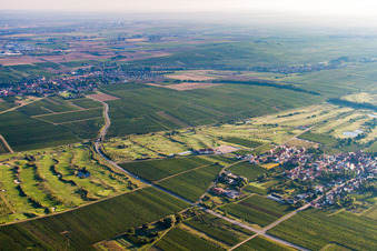 Vue oblique de Club de golf de la route des vins allemands à Dackenheim dans le département Rhénanie-Palatinat, Allemagne