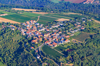 Vue aérienne de Village viticole au bord du Haardt dans la forêt du Palatinat à la lumière du matin à Battenberg dans le département Rhénanie-Palatinat, Allemagne