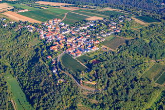Vue aérienne de Village viticole au bord du Haardt dans la forêt du Palatinat à la lumière du matin à Battenberg dans le département Rhénanie-Palatinat, Allemagne