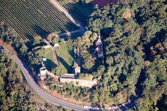 Vue aérienne de Complexe du château de la Veste Battenberg dans le district de Neuleiningen-Tal (Palatinat) à Battenberg dans le département Rhénanie-Palatinat, Allemagne