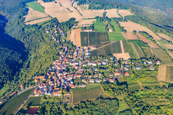 Photographie aérienne de Village viticole au bord du Haardt dans la forêt du Palatinat à la lumière du matin à Battenberg dans le département Rhénanie-Palatinat, Allemagne