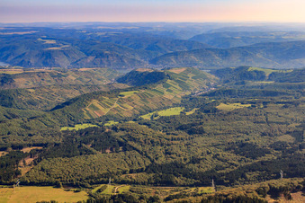 Vue aérienne de Vignobles du Heimbachtal à Oberheimbach dans le département Rhénanie-Palatinat, Allemagne