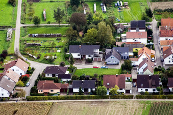 Gänsried à Freckenfeld dans le département Rhénanie-Palatinat, Allemagne vue d'en haut
