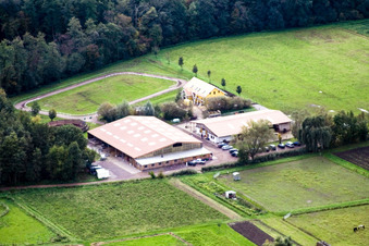 Vue aérienne de Haras islandais de Bienwald à Freckenfeld dans le département Rhénanie-Palatinat, Allemagne