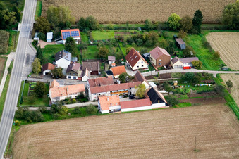 Vue aérienne de Minfeld, Welschhof à Freckenfeld dans le département Rhénanie-Palatinat, Allemagne