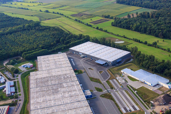 Photographie aérienne de Groupe logistique ZUFALL - Filiale Kandel et Groupe STS dans le parc industriel de Horst à le quartier Minderslachen in Kandel dans le département Rhénanie-Palatinat, Allemagne