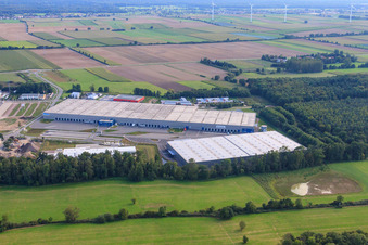 Image drone de Groupe logistique ZUFALL - Filiale Kandel et Groupe STS dans le parc industriel de Horst à le quartier Minderslachen in Kandel dans le département Rhénanie-Palatinat, Allemagne