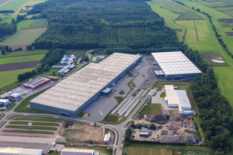 Vue aérienne de Groupe logistique ZUFALL - Filiale Kandel et Groupe STS dans le parc industriel de Horst à le quartier Minderslachen in Kandel dans le département Rhénanie-Palatinat, Allemagne