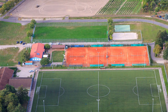 Vue aérienne de Court de tennis Rheinzabern et terrain de football du SV Olympia Rheinzabern 1920 eV à Rheinzabern dans le département Rhénanie-Palatinat, Allemagne