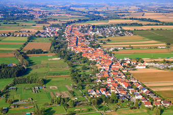 Vue aérienne de Vue du village depuis l'est à Freckenfeld dans le département Rhénanie-Palatinat, Allemagne